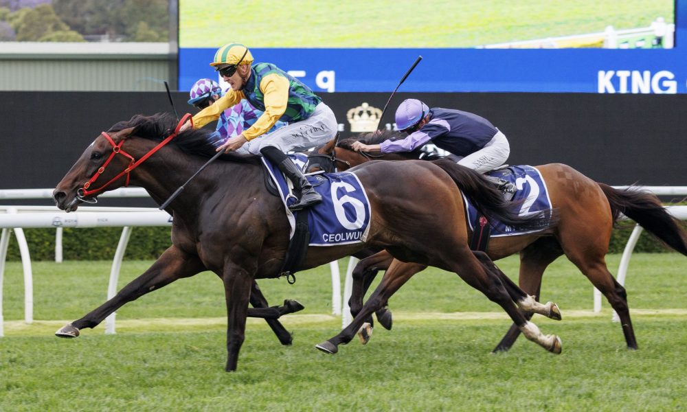 他作为核心 他作为核心