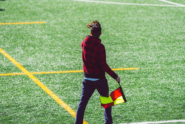 主帅若想让 主帅若想让